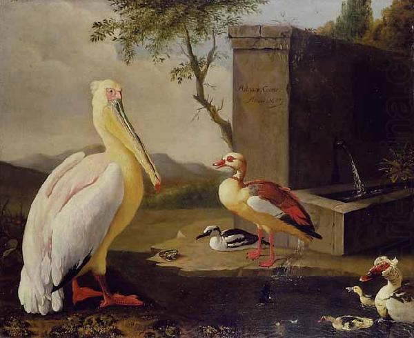 Adriaen Coorte Pelican and ducks in a mountain landscape or Oriental Birds china oil painting image
